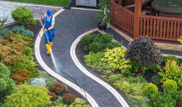 Best Best Pressure Washing Companies  in Cecil Bishop, PA